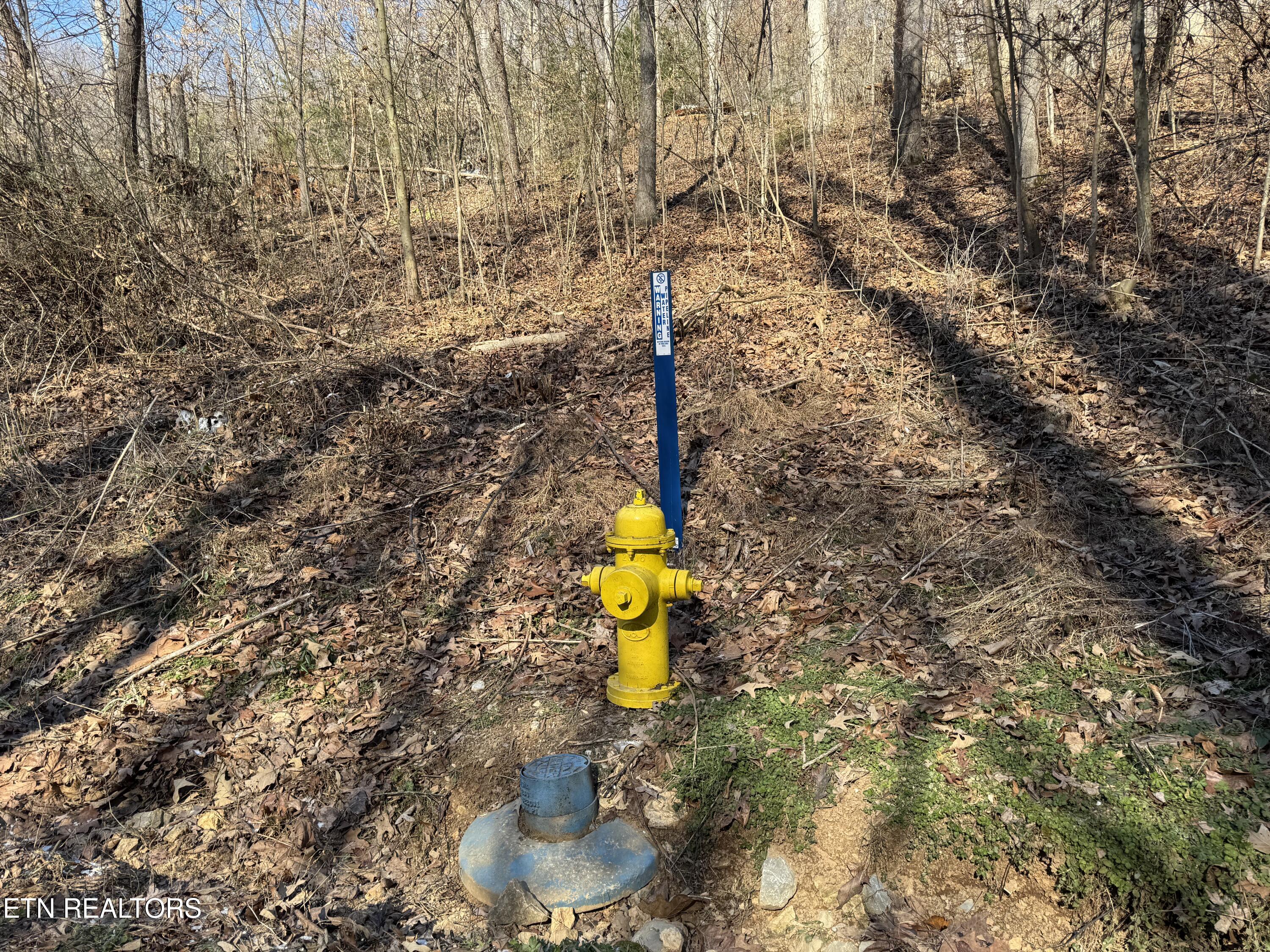 136 Toby Hollow Lane Knoxville TN 37931