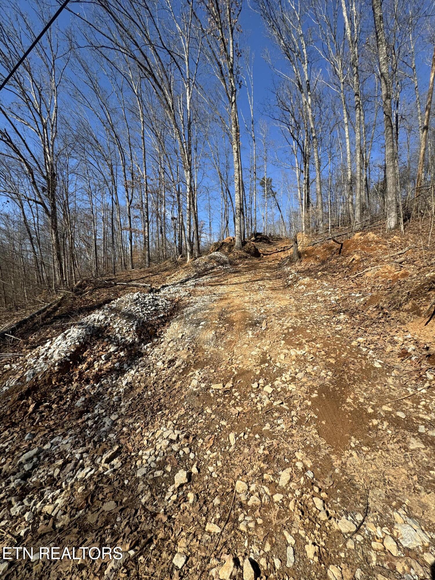 136 Toby Hollow Lane Knoxville TN 37931