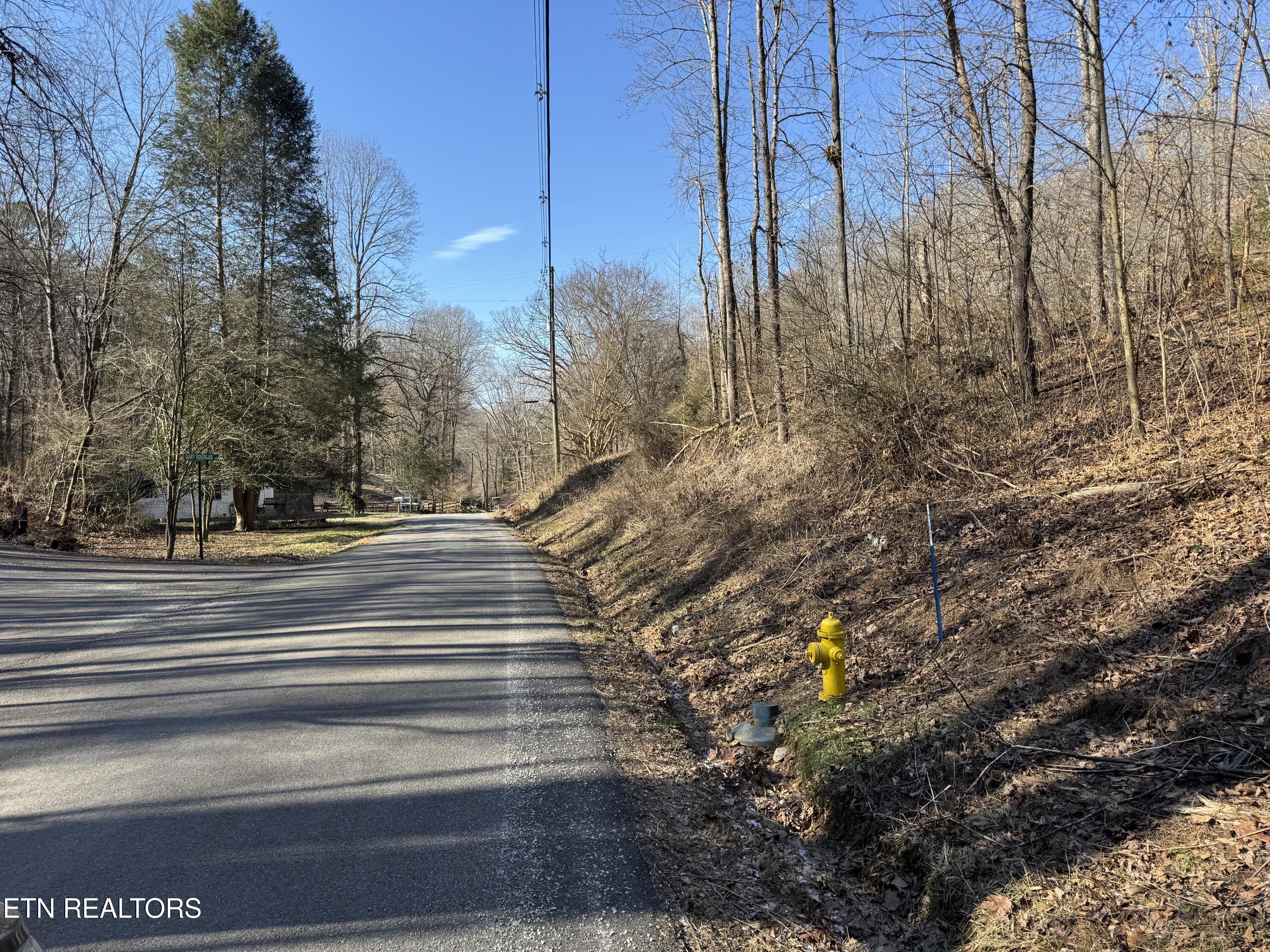 136 Toby Hollow Lane Knoxville TN 37931