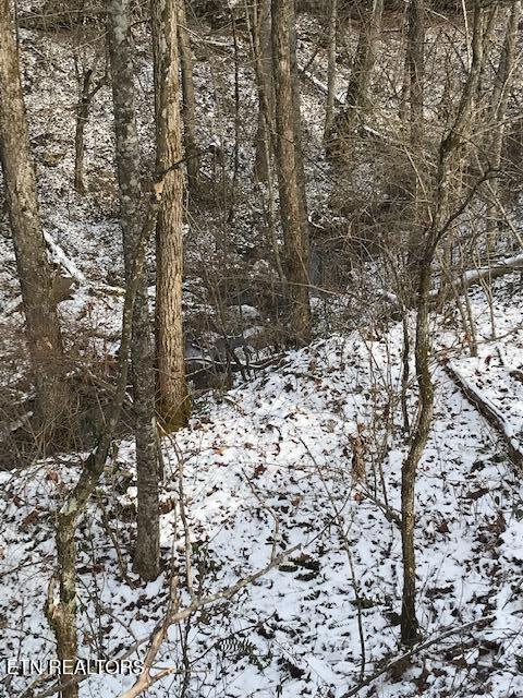 111 213.00 Concord Road Robbins TN 37852
