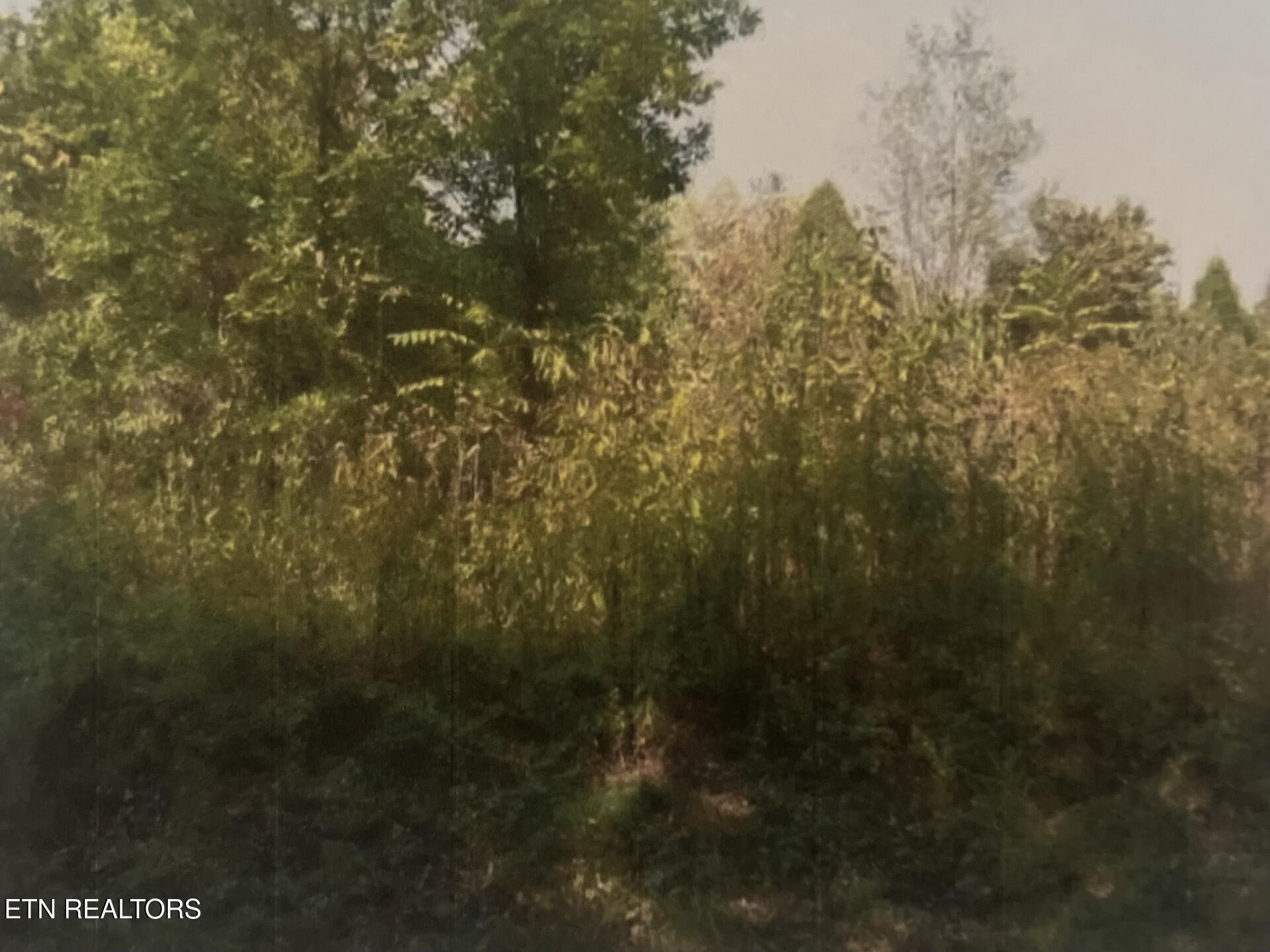 141 Amohi Way Loudon TN 37774