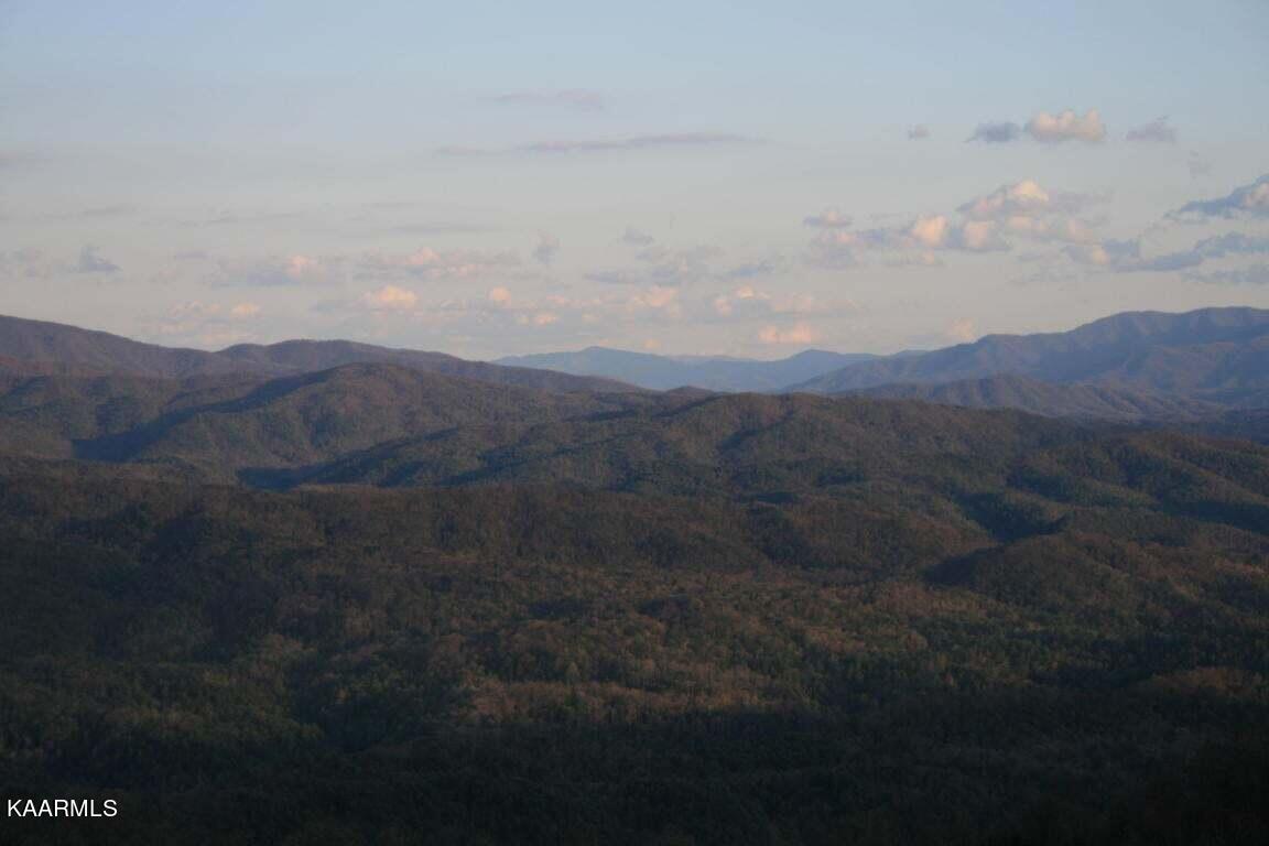Tract 29r4 Chilhowee Mountain Trail Maryville TN 37803