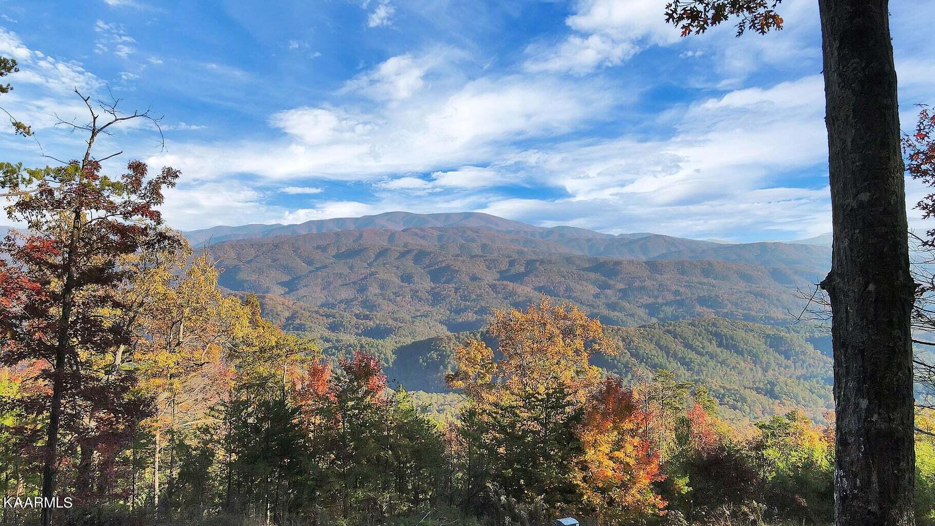 Tract 29r4 Chilhowee Mountain Trail Maryville TN 37803