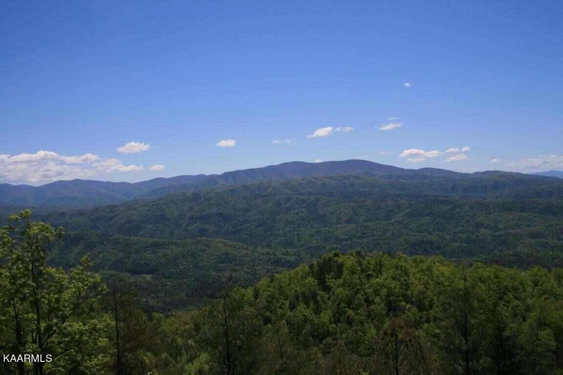 Tract 29r4 Chilhowee Mountain Trail Maryville TN 37803