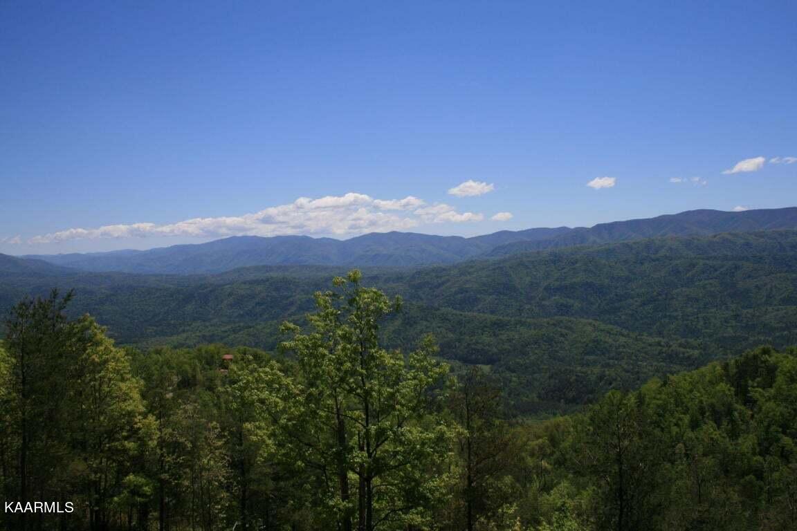 Tract 29r4 Chilhowee Mountain Trail Maryville TN 37803