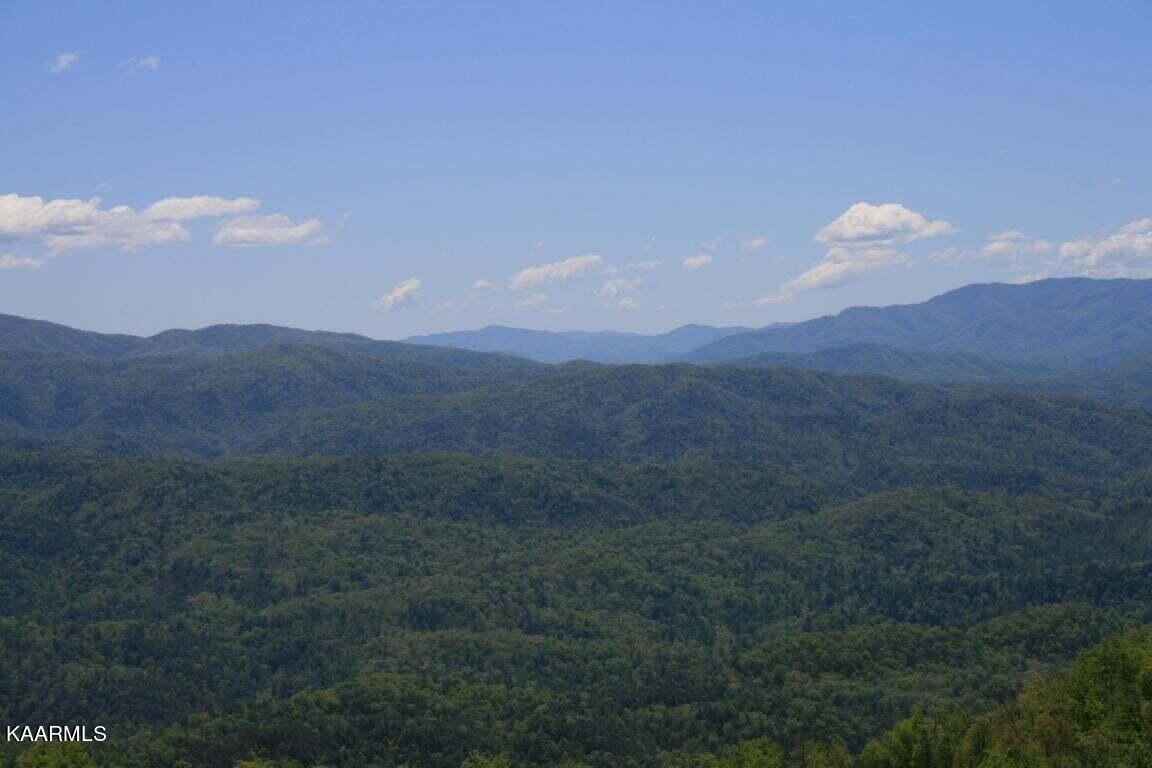 Tract 29r4 Chilhowee Mountain Trail Maryville TN 37803