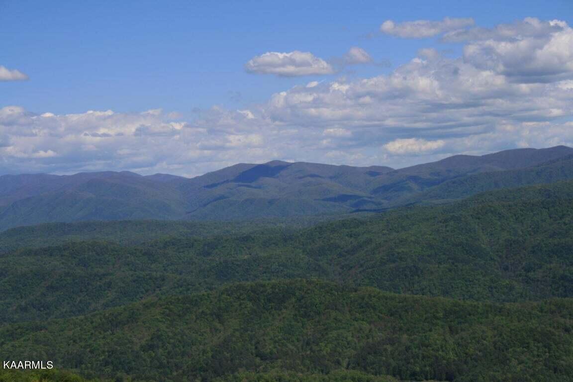 Tract 29r4 Chilhowee Mountain Trail Maryville TN 37803