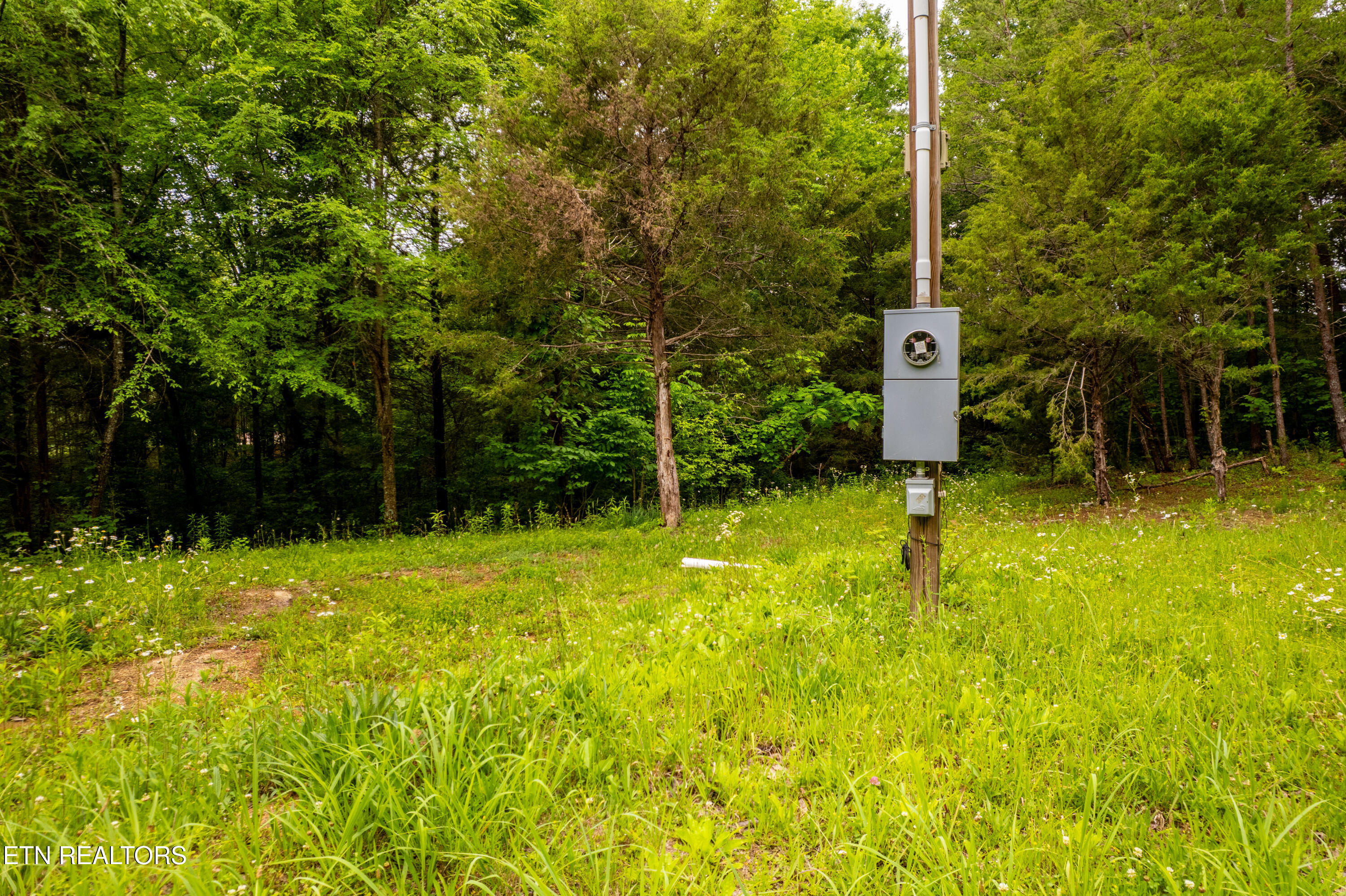 8609 Tennessee 68 Tellico Plains TN 37385