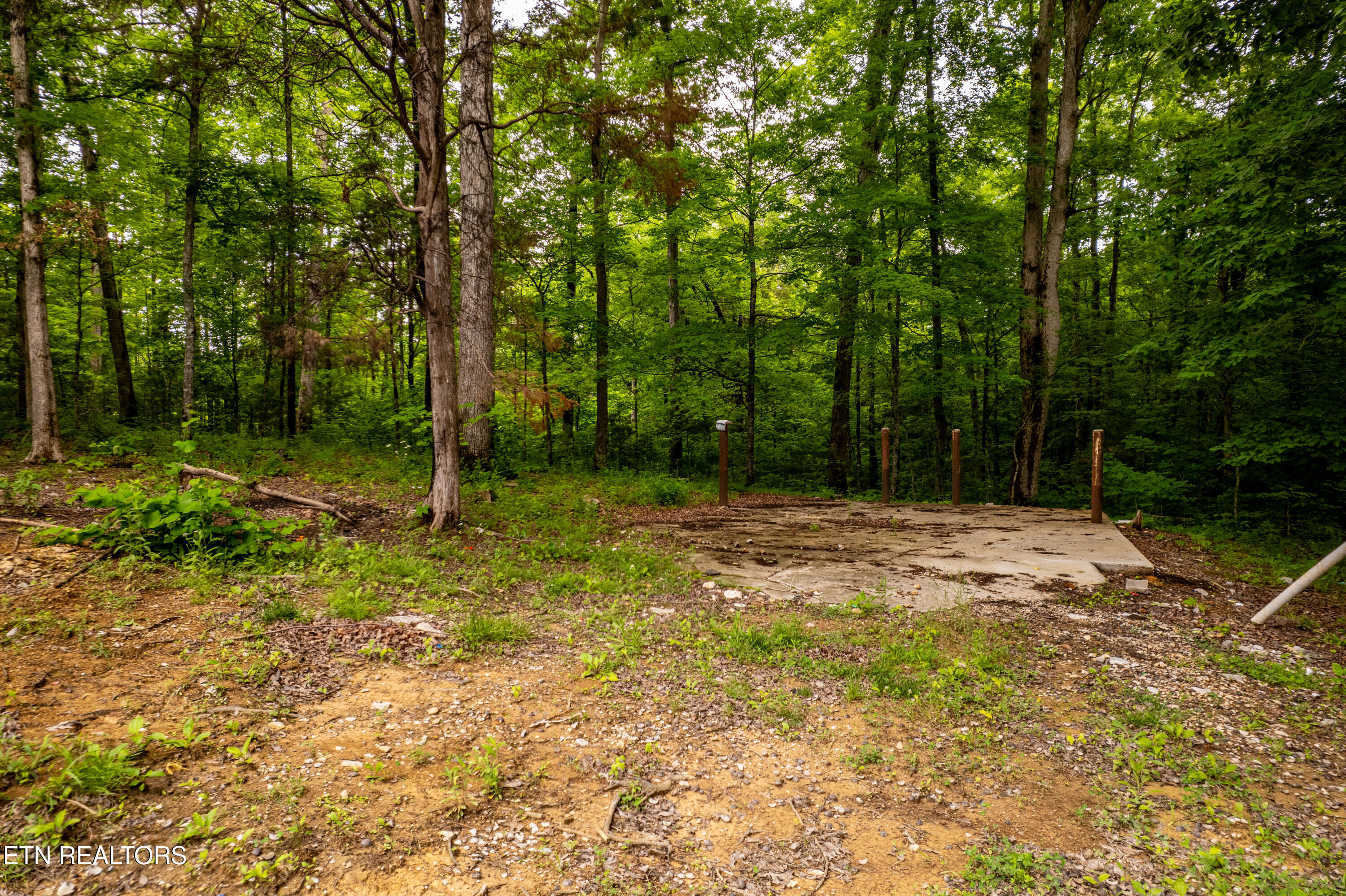 8609 Tennessee 68 Tellico Plains TN 37385