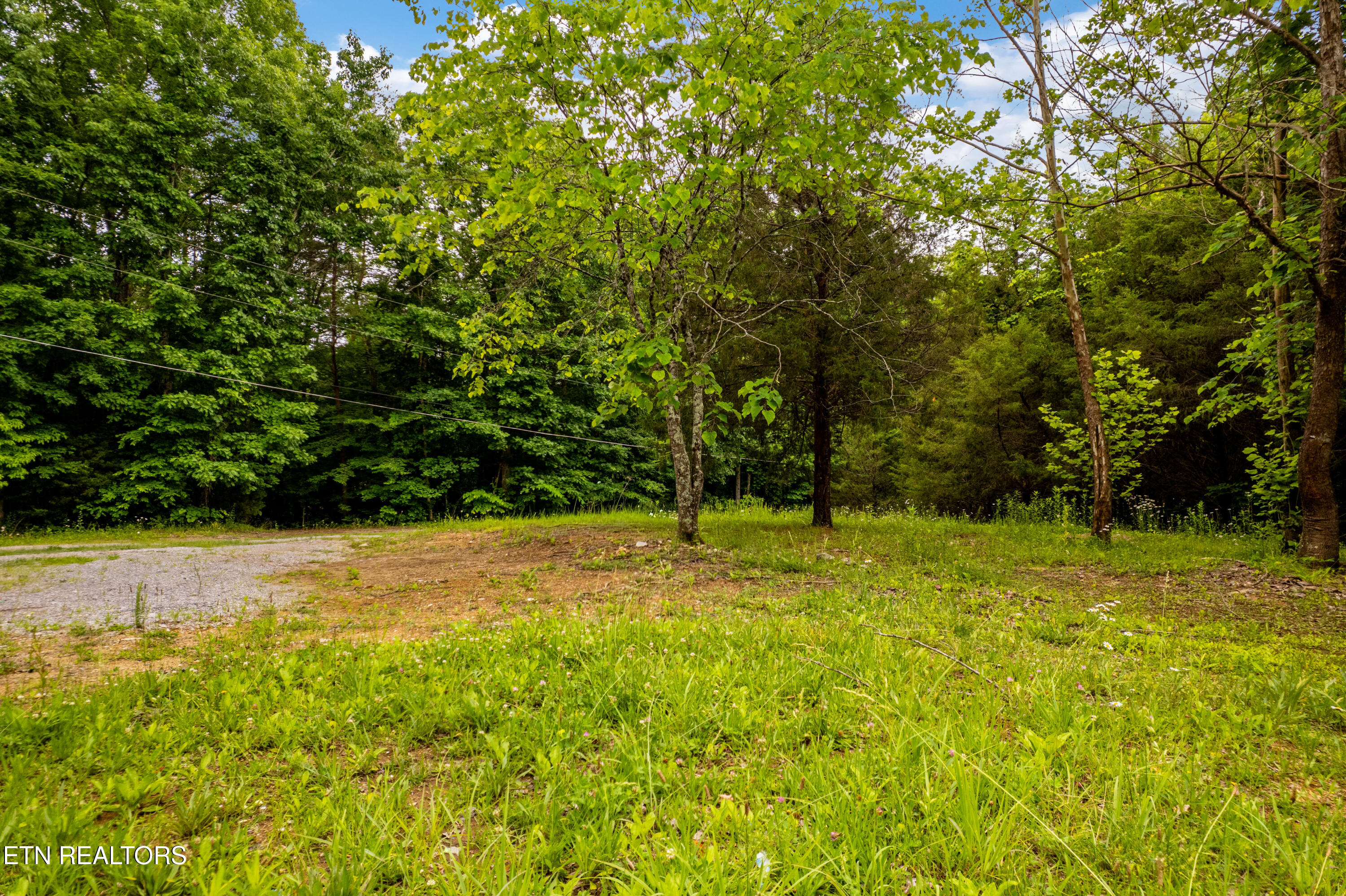 8609 Tennessee 68 Tellico Plains TN 37385