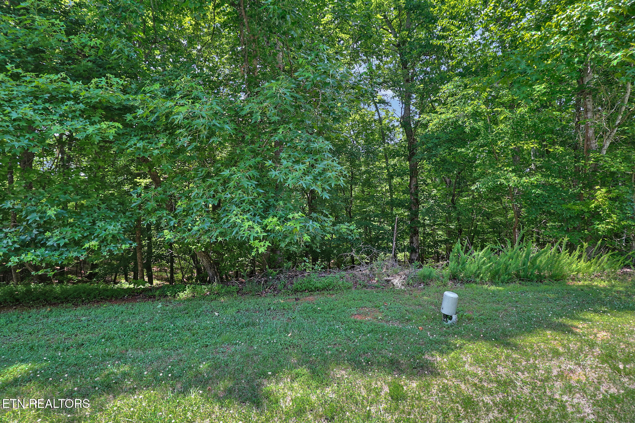 Lot 216 Reuben Ridge Road Rockwood TN 37854
