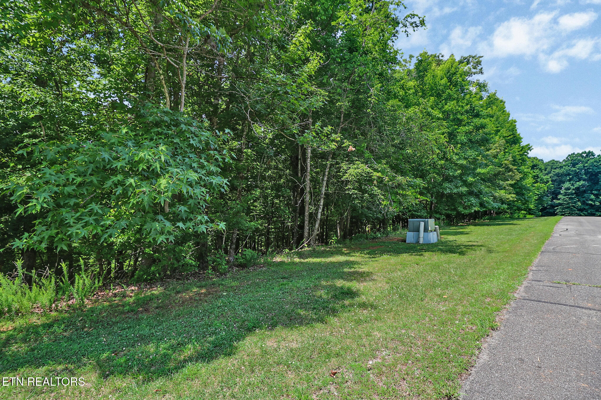 Lot 216 Reuben Ridge Road Rockwood TN 37854