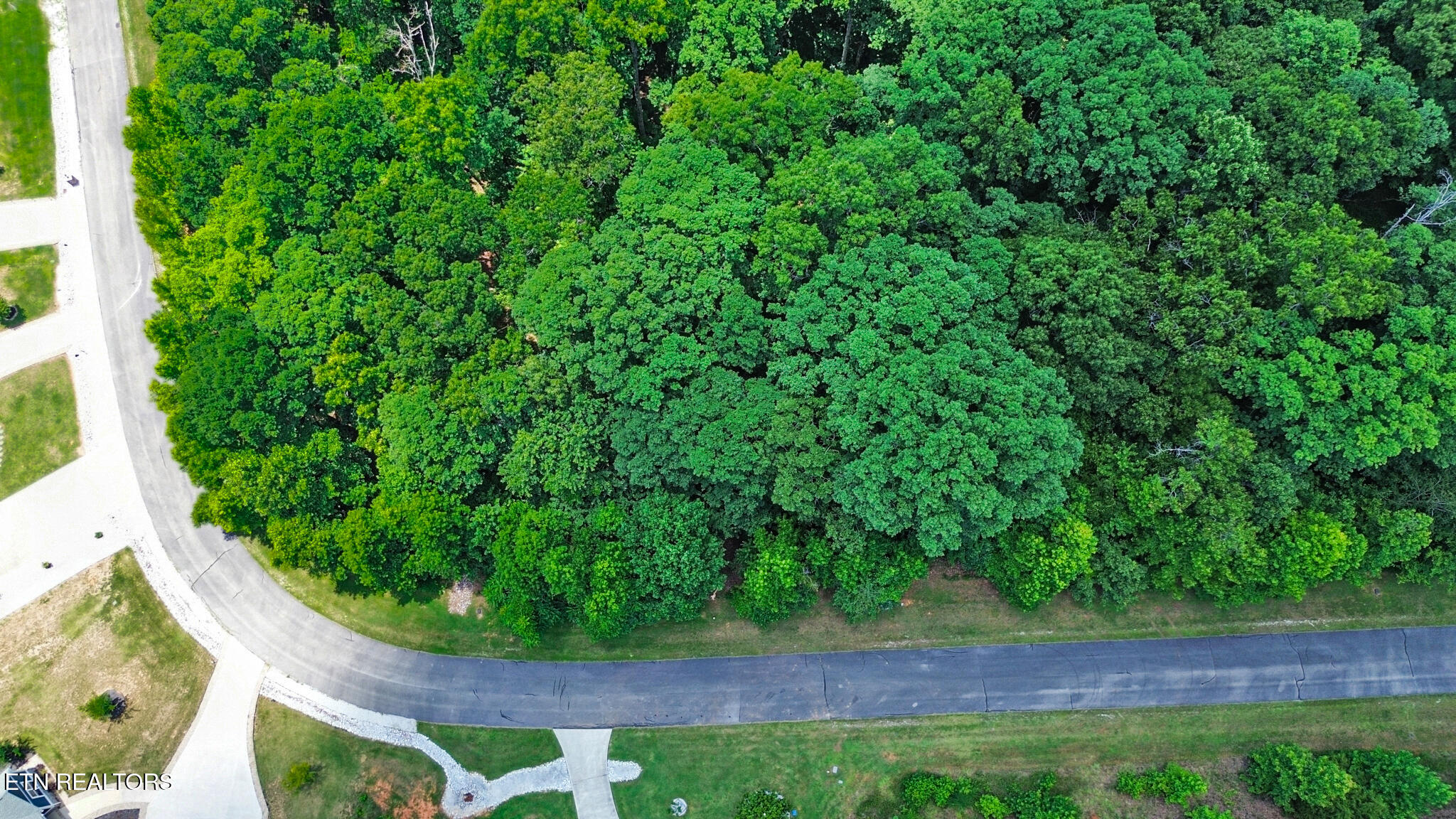 Lot 216 Reuben Ridge Road Rockwood TN 37854