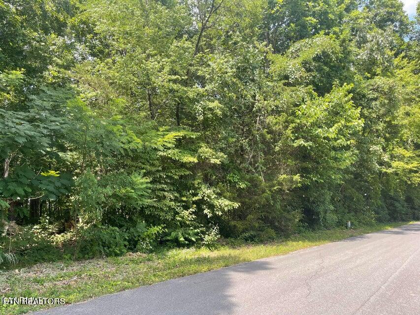 Lot 19 Somerset Lane Sevierville TN 37862