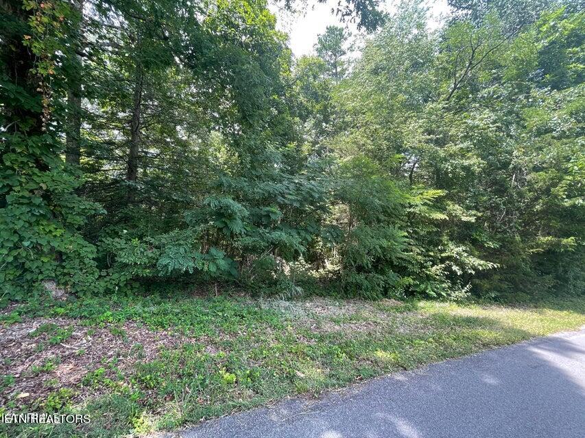 Lot 19 Somerset Lane Sevierville TN 37862