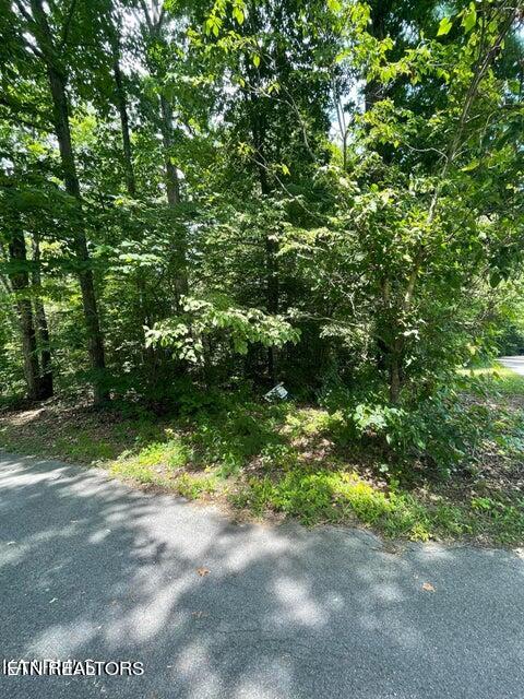 Lot 19 Somerset Lane Sevierville TN 37862