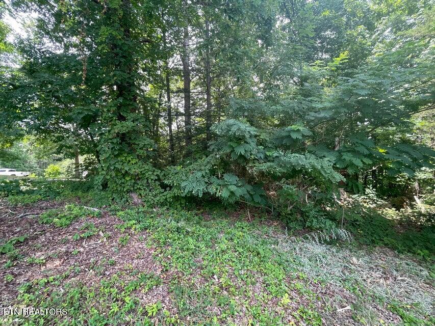 Lot 19 Somerset Lane Sevierville TN 37862