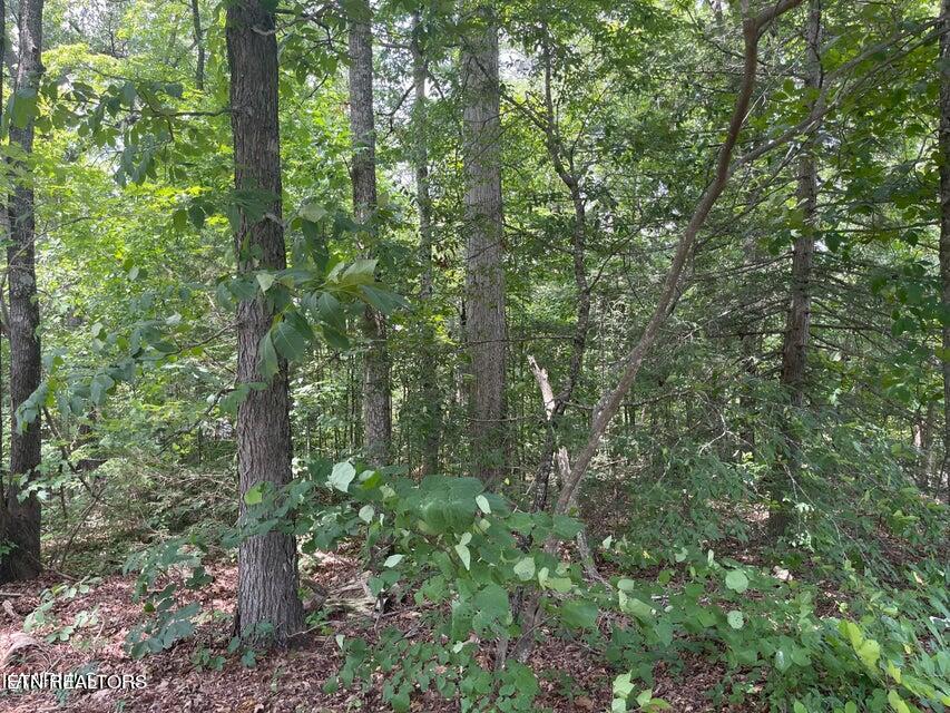 Lot 19 Somerset Lane Sevierville TN 37862