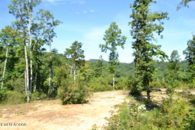 9.85AC Rock Springs Road Celina TN 38551