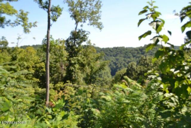 9.85AC Rock Springs Road Celina TN 38551
