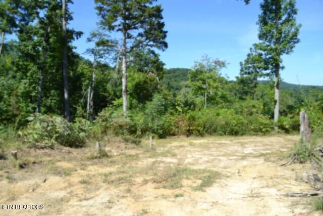 9.85AC Rock Springs Road Celina TN 38551