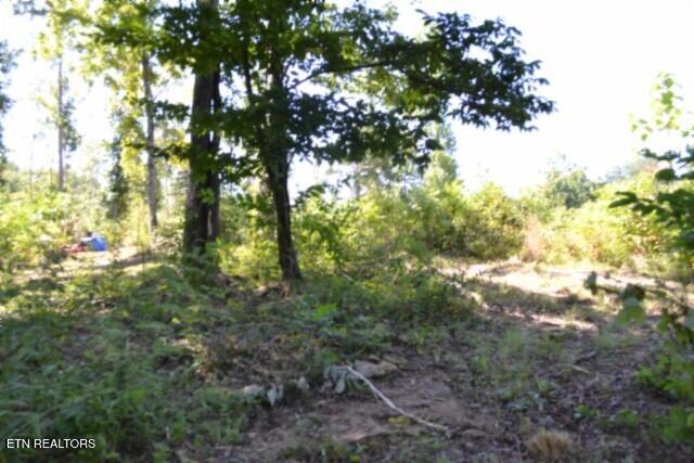 9.85AC Rock Springs Road Celina TN 38551