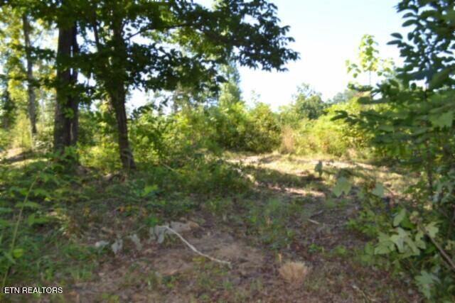 9.85AC Rock Springs Road Celina TN 38551