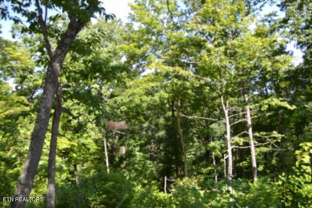 9.85AC Rock Springs Road Celina TN 38551