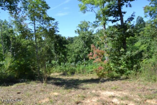 9.85AC Rock Springs Road Celina TN 38551
