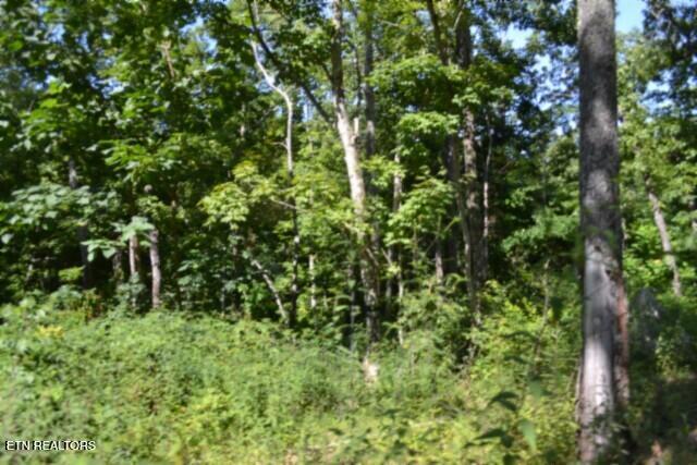 9.85AC Rock Springs Road Celina TN 38551