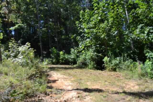 9.85AC Rock Springs Road Celina TN 38551