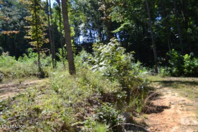 9.85AC Rock Springs Road Celina TN 38551