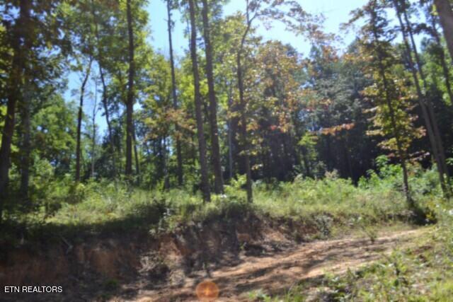 9.85AC Rock Springs Road Celina TN 38551