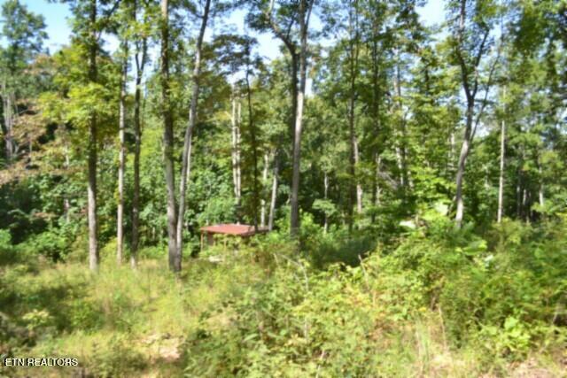9.85AC Rock Springs Road Celina TN 38551