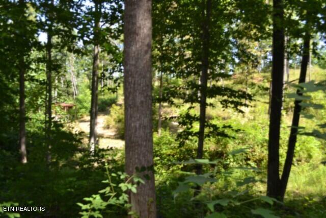 9.85AC Rock Springs Road Celina TN 38551