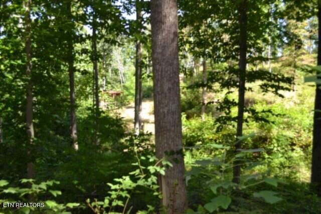9.85AC Rock Springs Road Celina TN 38551
