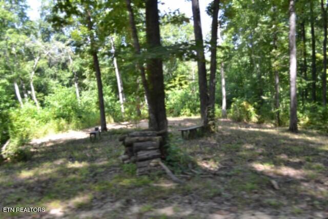 9.85AC Rock Springs Road Celina TN 38551