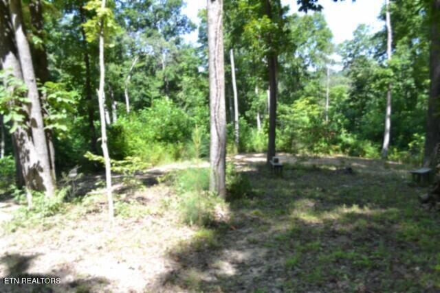 9.85AC Rock Springs Road Celina TN 38551