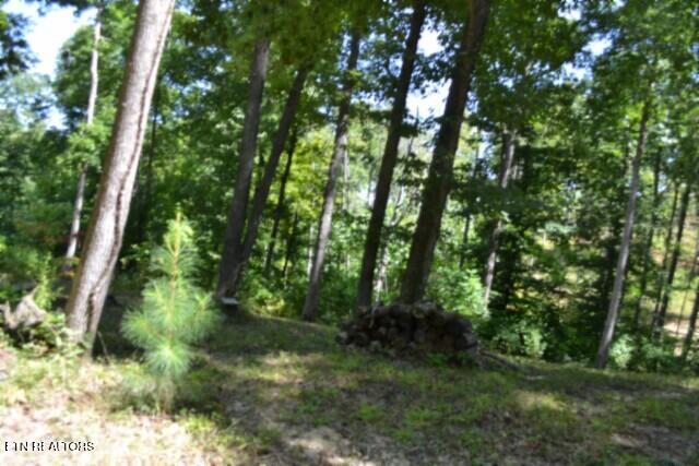9.85AC Rock Springs Road Celina TN 38551