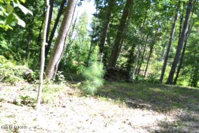 9.85AC Rock Springs Road Celina TN 38551