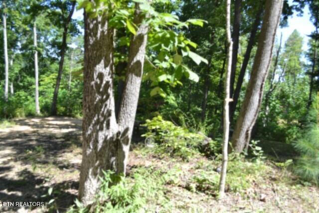 9.85AC Rock Springs Road Celina TN 38551