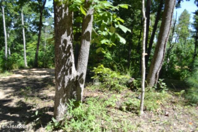 9.85AC Rock Springs Road Celina TN 38551
