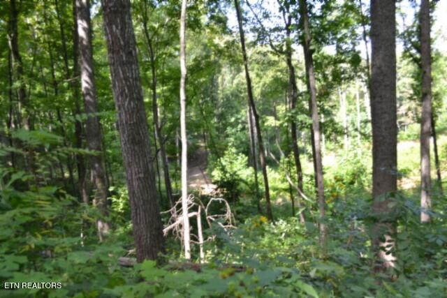 9.85AC Rock Springs Road Celina TN 38551