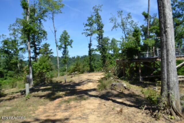 9.85AC Rock Springs Road Celina TN 38551