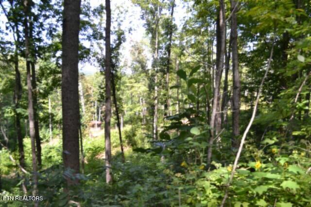 9.85AC Rock Springs Road Celina TN 38551