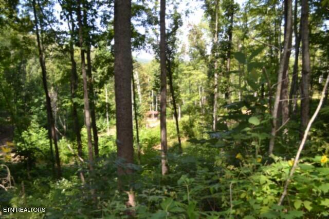 9.85AC Rock Springs Road Celina TN 38551