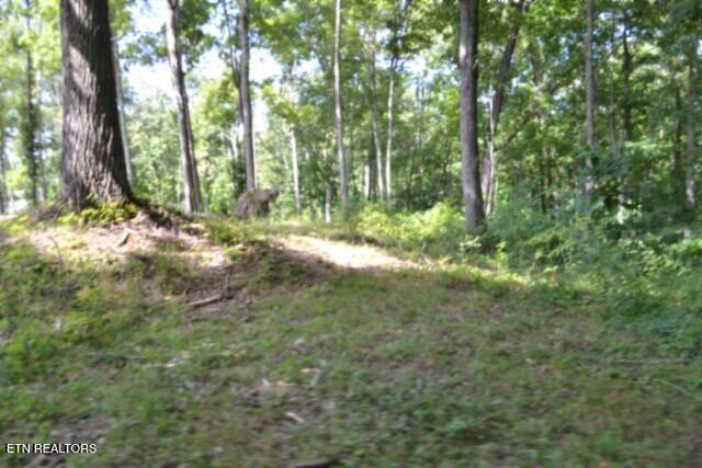 9.85AC Rock Springs Road Celina TN 38551