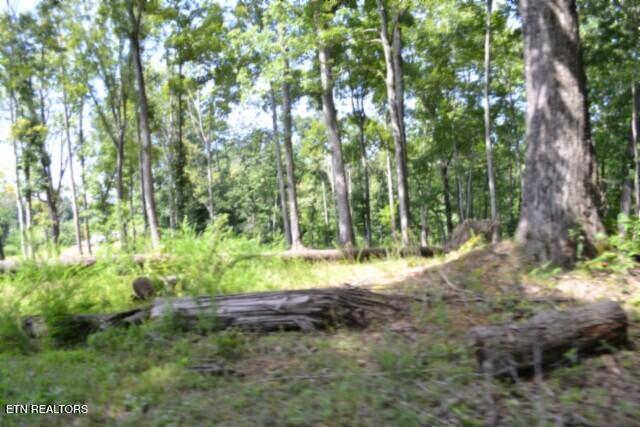9.85AC Rock Springs Road Celina TN 38551
