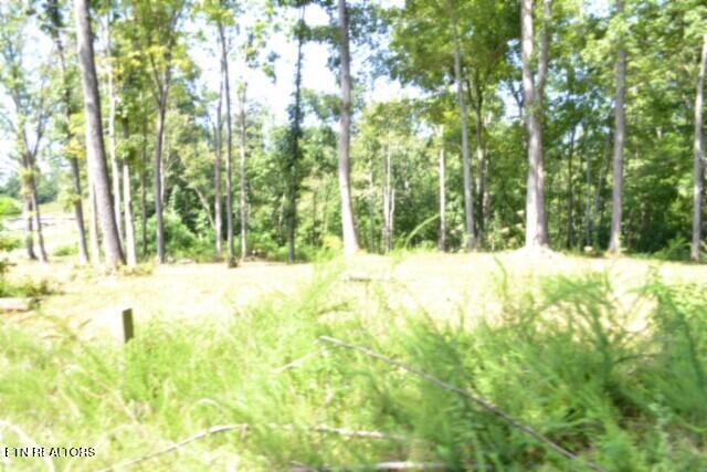 9.85AC Rock Springs Road Celina TN 38551