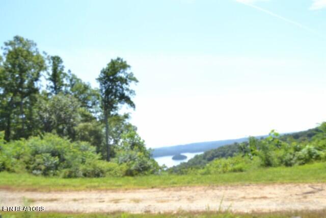 9.85AC Rock Springs Road Celina TN 38551